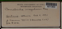 Image Associated With the Occurence